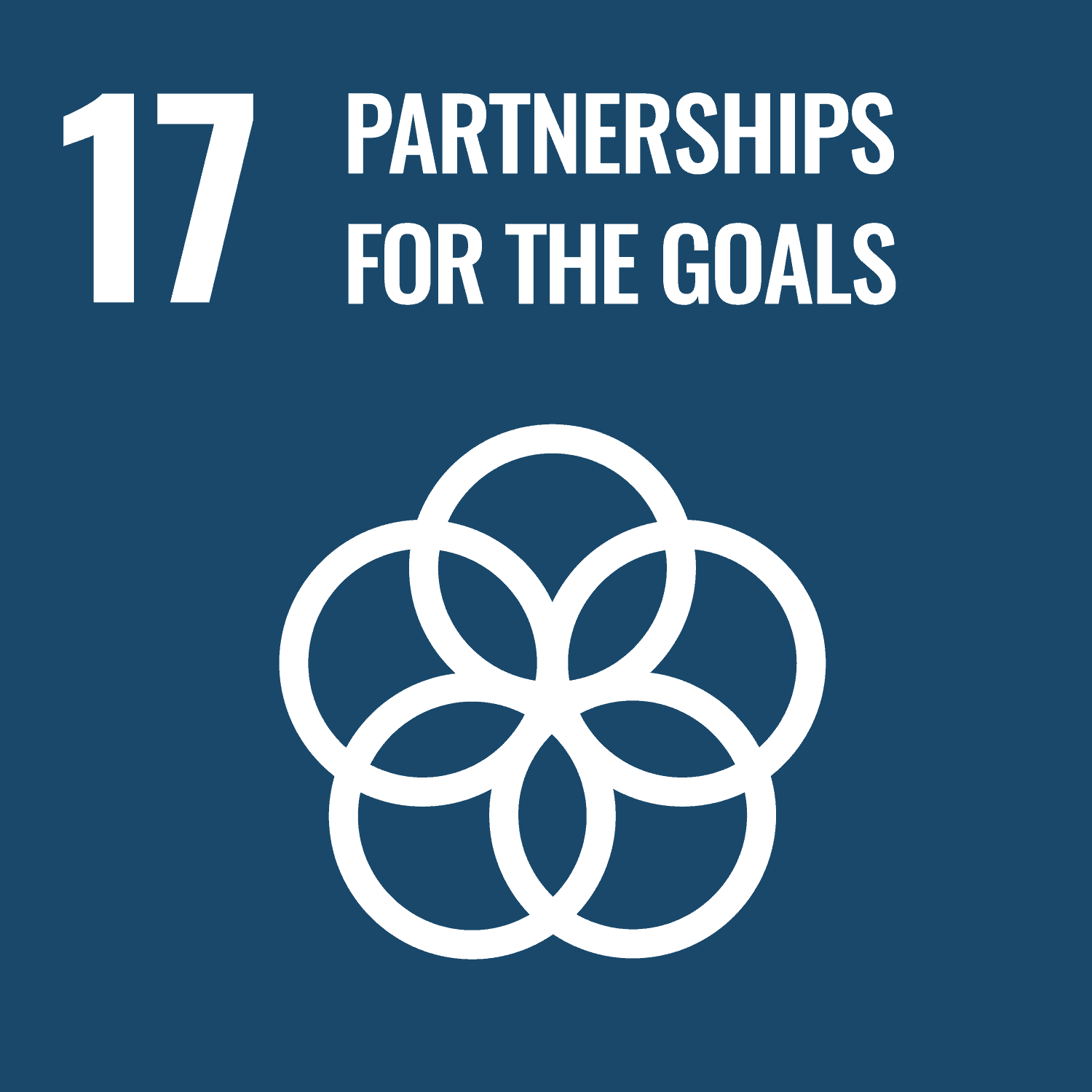 SDG 17: Partnerships for the goals