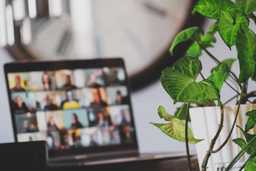 Laptop and plant