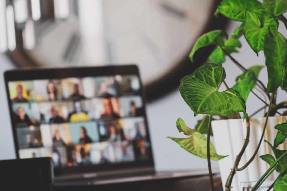 Laptop and plant