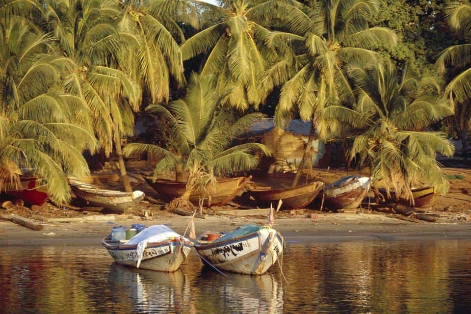 Two boats on the shore