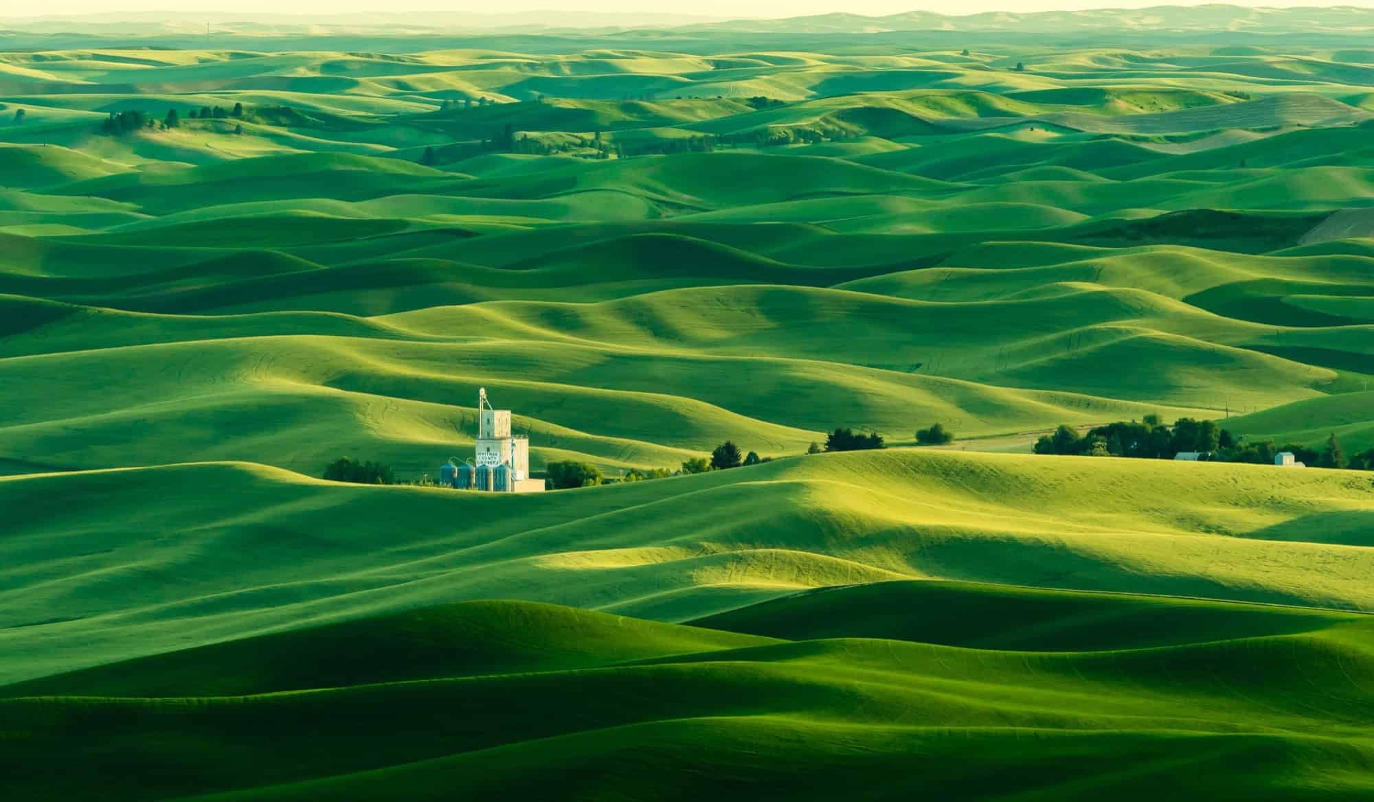Rolling green hills with a white building