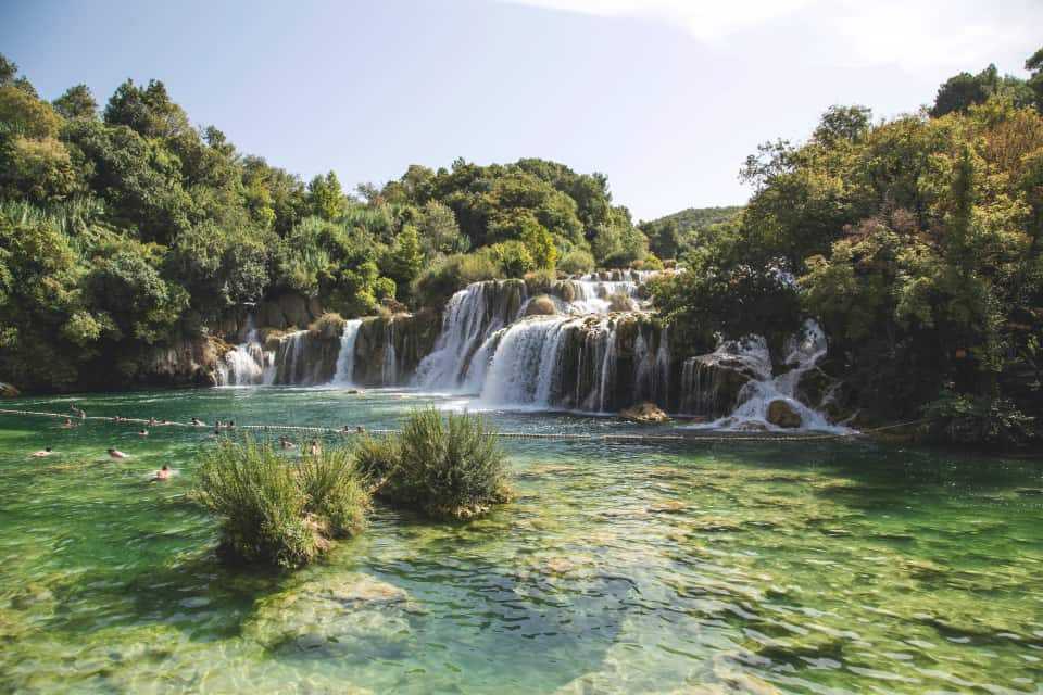 photo of a waterfall in a forest