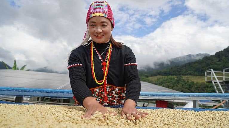 Farmer in Chiang Mai