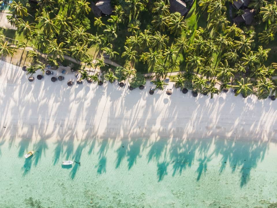 Aerial view of shoreline