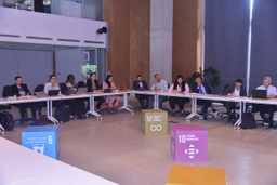 Preview of Harmonizing taxation and strengthening governance for an inclusive green economy