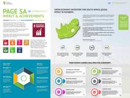 Preview of PAGE South Africa Impact & Achievements infographic