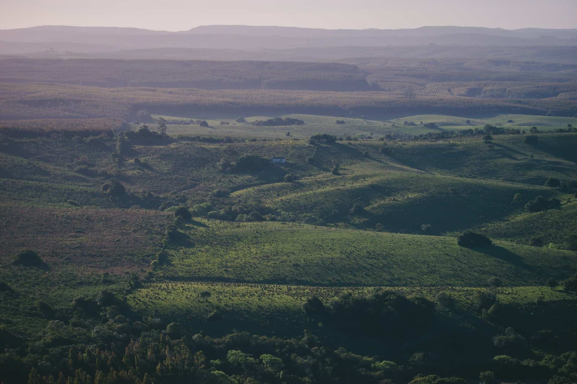 green landscape photograph in Uruguy