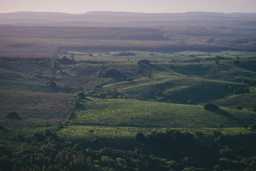 green landscape photograph in Uruguy