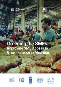 Greening the SMEs report cover