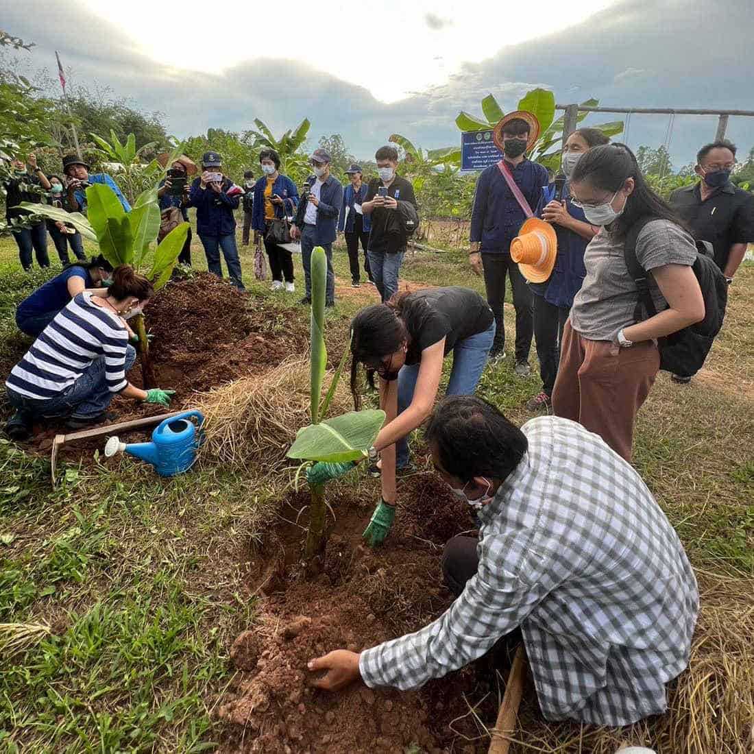 People planting trees on Land Water Rice Field (Nok Nong Na Model)