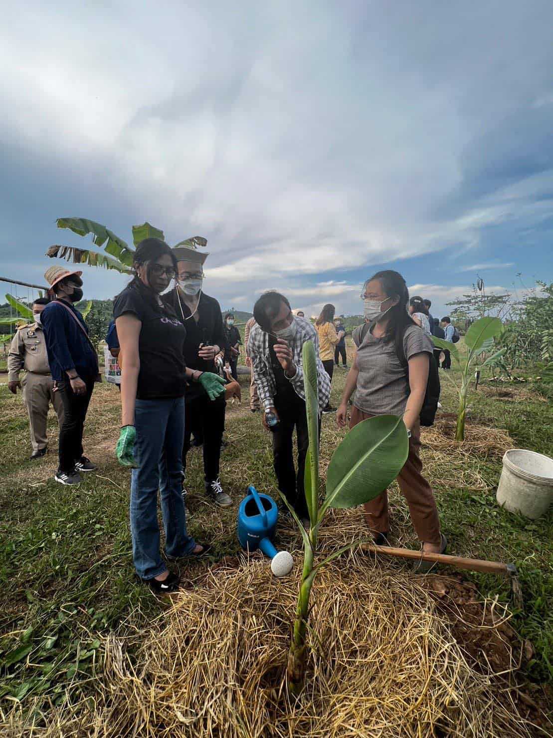 people standing in front of rice field