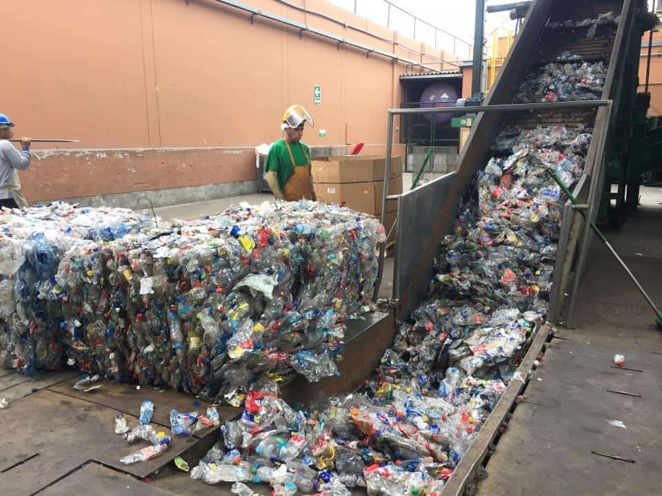 Recycling worker