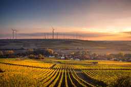 Landscape with wind turbines